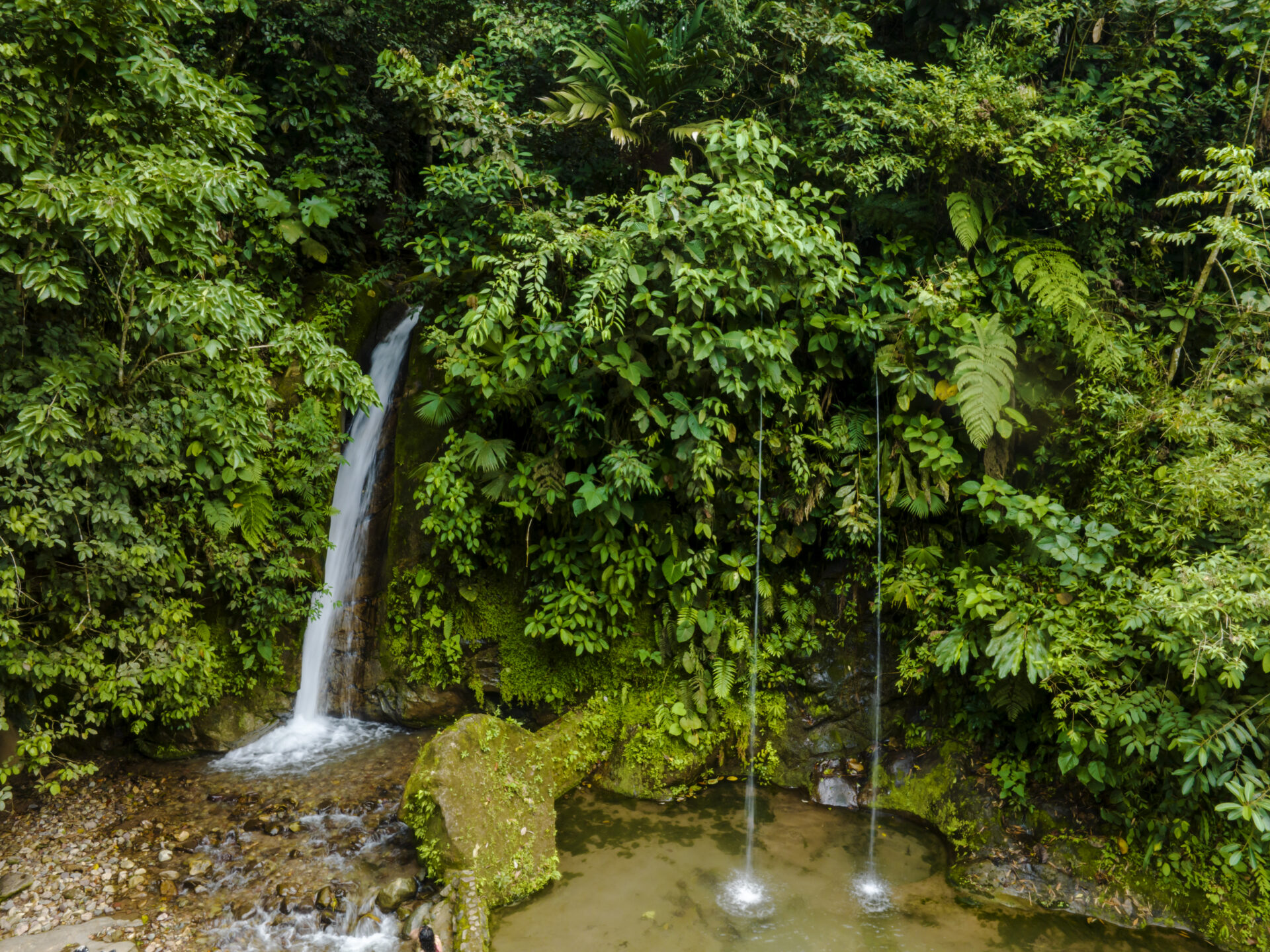 Maha Devi Ayahuasca|Ayahuasca Retreat in Putumayo