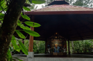 Guided, traditional Ayahuasca Ceremony at MahaDevi