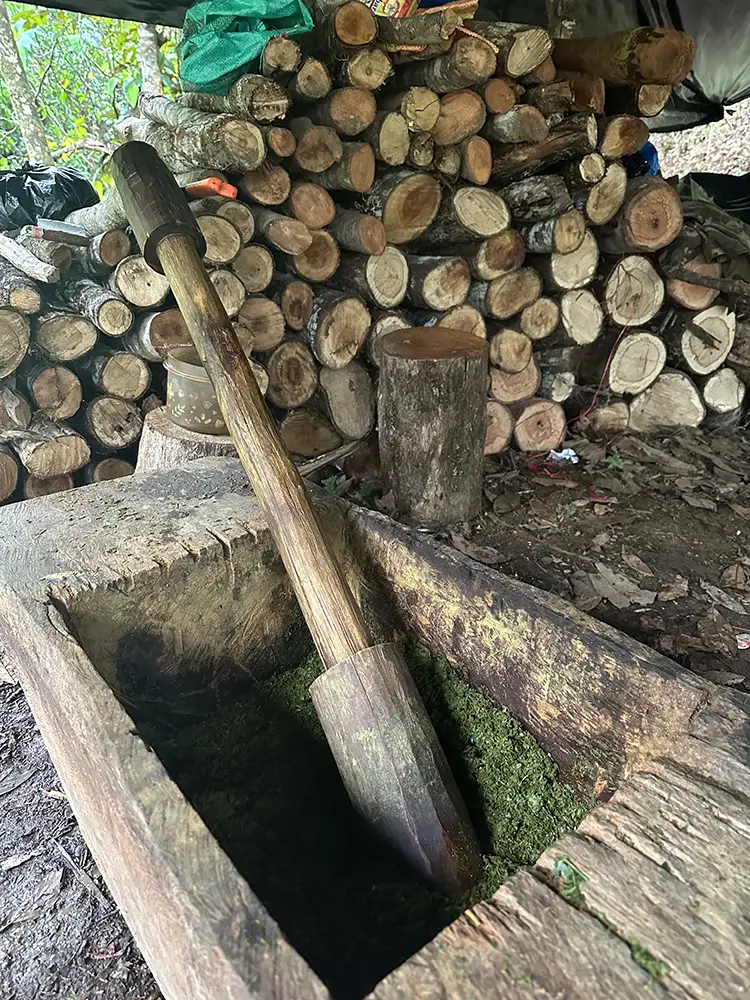 Ayahuasca preparation at MahaDevi retreat, fresh plant medicine crafting in Putumayo Colombia