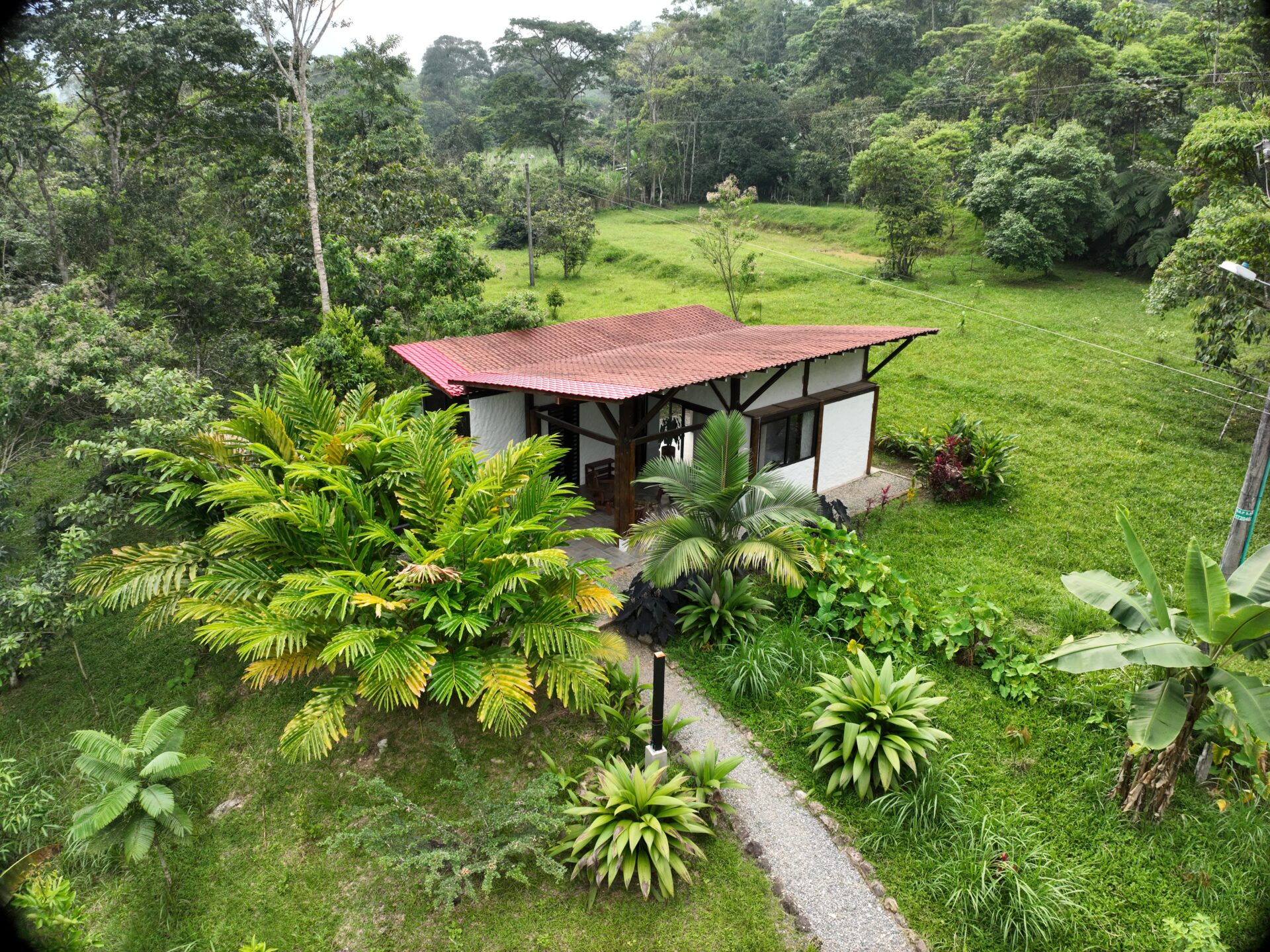 Maha Devi Ayahuasca|Ayahuasca Retreat in Putumayo