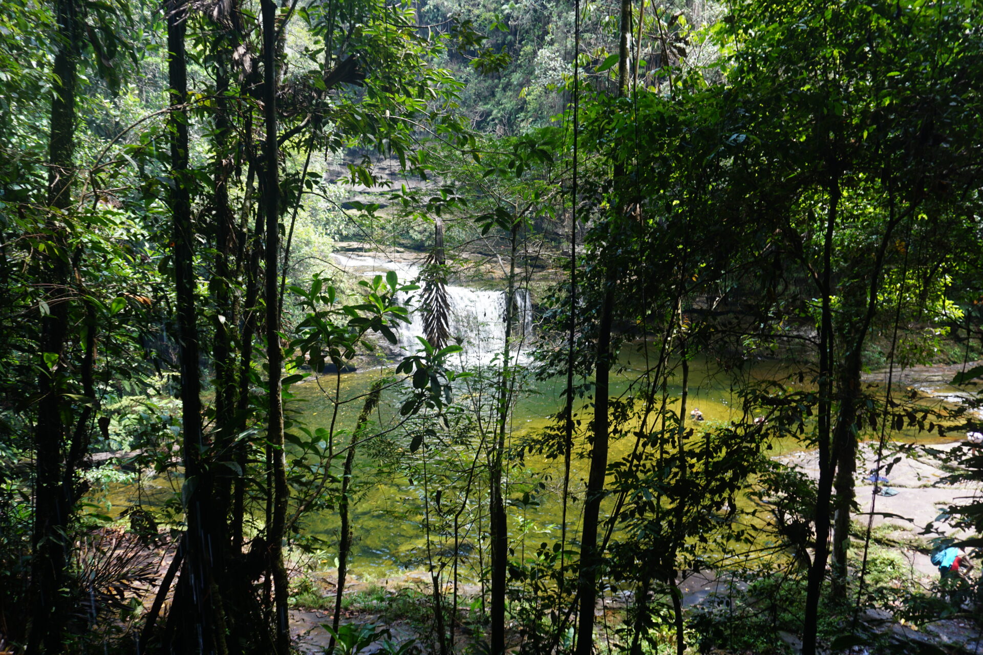 DSC04718 Maha Devi Ayahuasca|Ayahuasca Retreats Mocoa