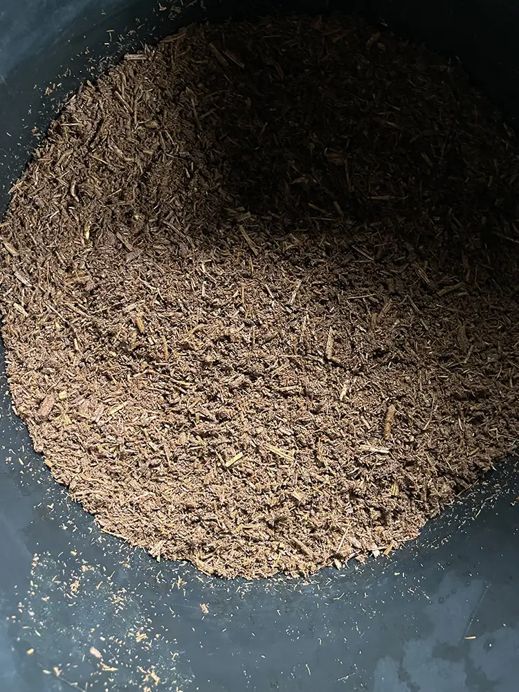 Fresh yagé vine preparation for crudo medicine at MahaDevi ayahuasca retreat Colombia