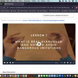 Video 1
