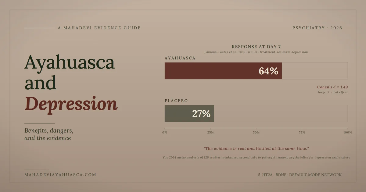 Comparative response-rate bar chart for ayahuasca and depression evidence guide showing 64% vs 27% RCT result