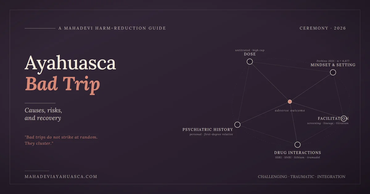 Ayahuasca bad trip harm-reduction guide, showing the brew alongside the screening, setting, and facilitation variables that decide outcomes.