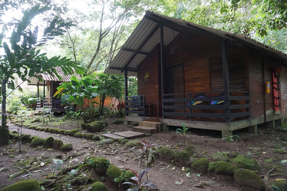 Rustic cabin interior at an ayahuasca retreat in Colombia