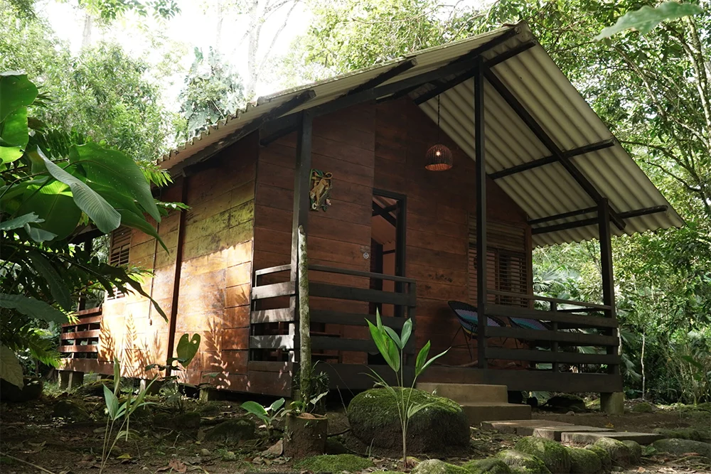 Private jungle cabin at Mahadevi Ayahuasca Retreat in Putumayo, Colombia surrounded by rainforest