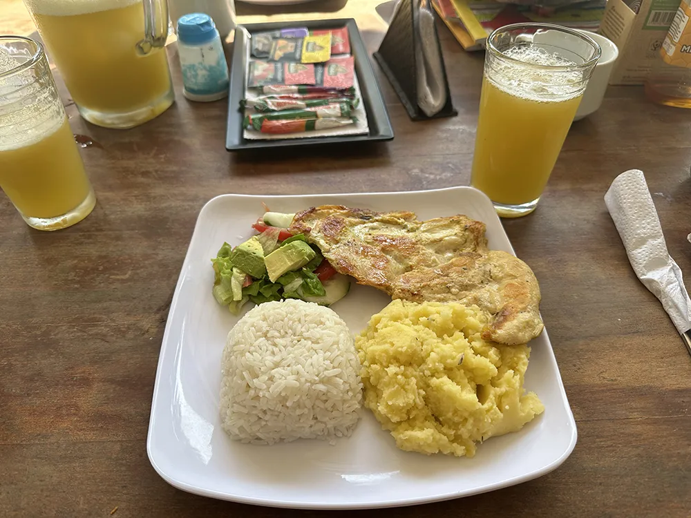 Simple, balanced meal with rice, plantains, eggs, salad, and fresh juice served at an ayahuasca retreat in Colombia.
