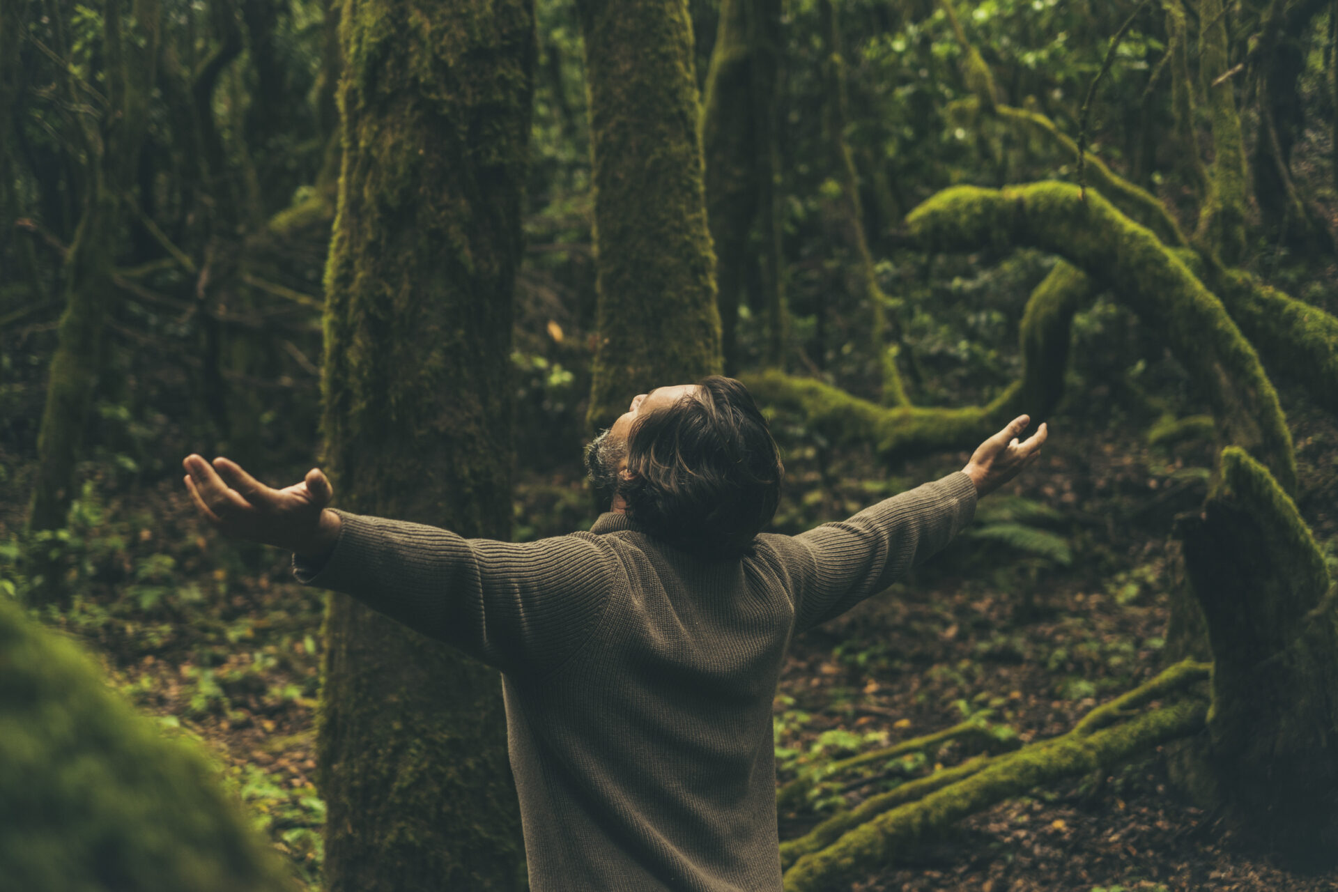 Back view of free man opening arms in the nature with green tree Maha Devi Ayahuasca|Ayahuasca Retreats Mocoa