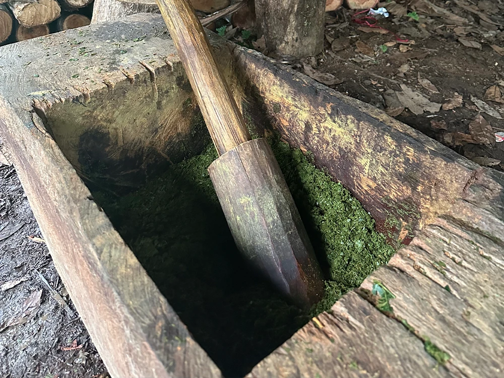 Wooden mortar and pestle used to prepare raw 'Crudo' ayahuasca, a gentle uncooked medicine unique to the Putumayo region