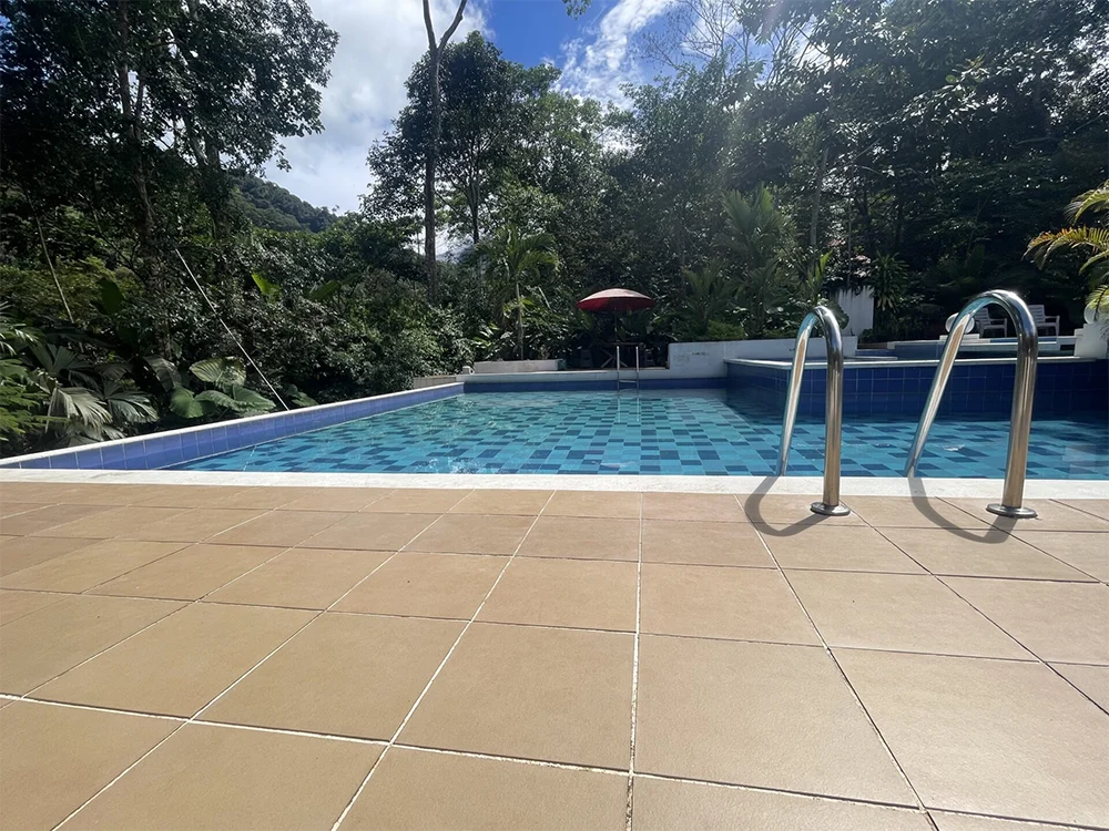 Forest swimming pool surrounded by jungle at Mahadevi Ayahuasca Retreat in Putumayo, Colombia