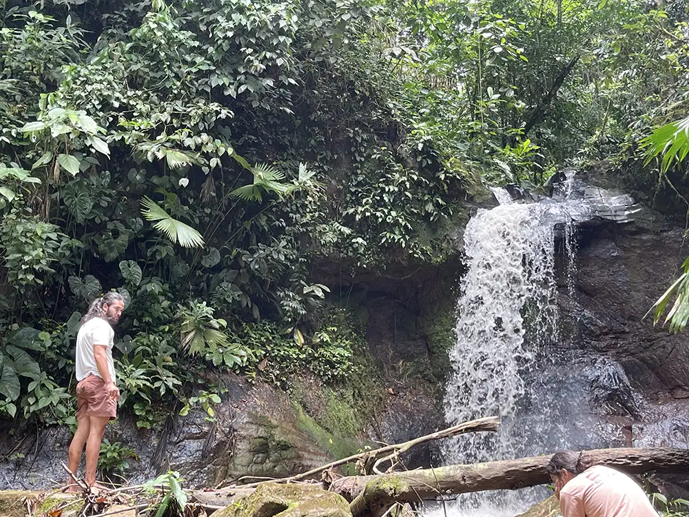 Day Ayahuasca ceremony at MahaDevi in Colombia — ceremony in natural jungle daylight near Mocoa Putumayo