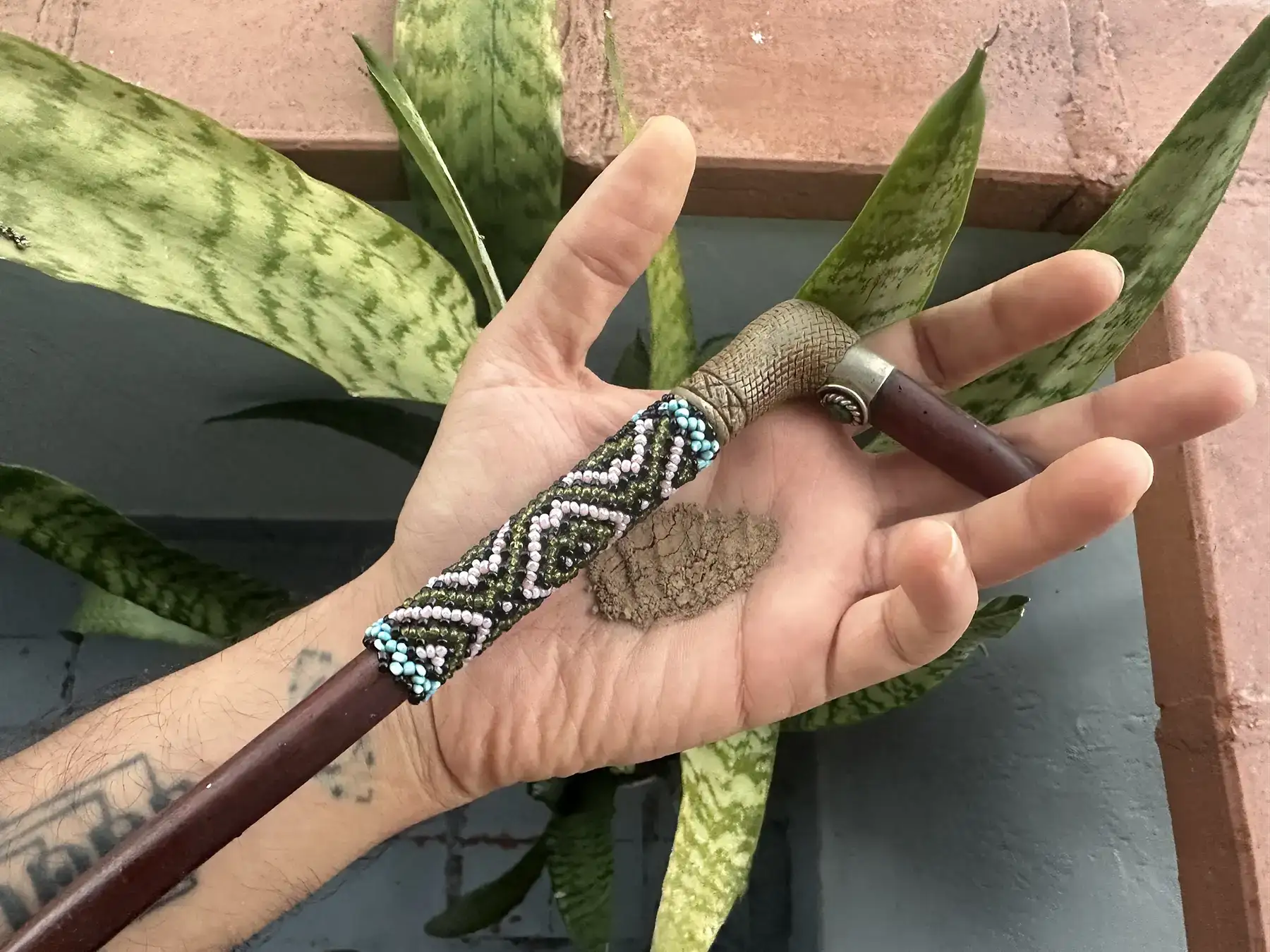 Hand holding rapé (rapeh / hape) medicine powder used in traditional Amazonian plant medicine practices at Mahadevi Ayahuasca Yagé retreat