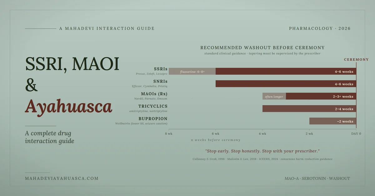 Washout-window timeline chart for the SSRI MAOI ayahuasca drug interaction guide showing weeks needed by drug class